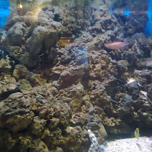 East London Aquarium