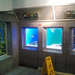 East London Aquarium