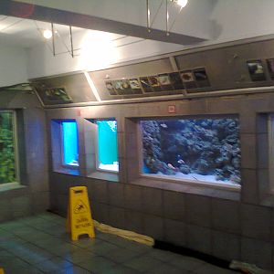 East London Aquarium