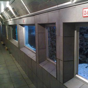 East London Aquarium