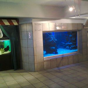 East London Aquarium