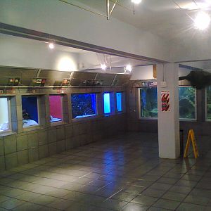 East London Aquarium