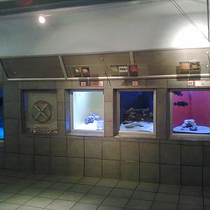 East London Aquarium