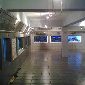 East London Aquarium