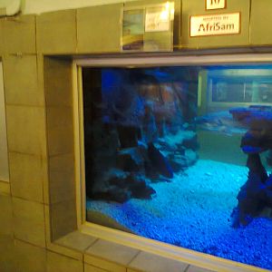 East London Aquarium