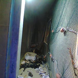 East London Aquarium