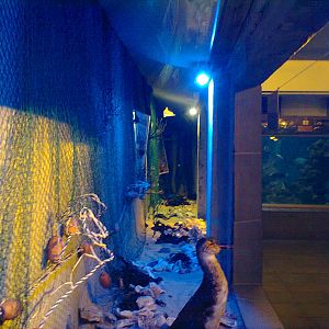 East London Aquarium