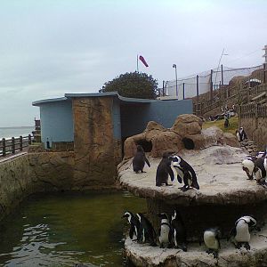 East London Aquarium
