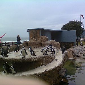 East London Aquarium