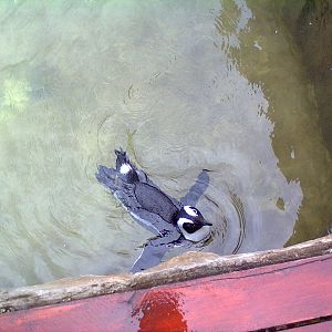 East London Aquarium