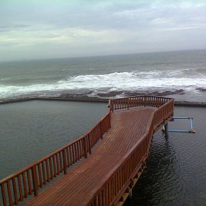 East London Aquarium