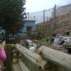 East London Aquarium