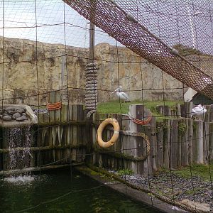 East London Aquarium