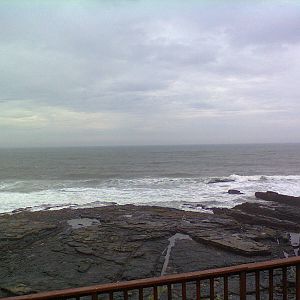 East London Aquarium