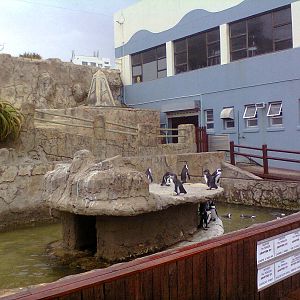 East London Aquarium