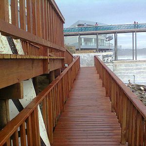 East London Aquarium