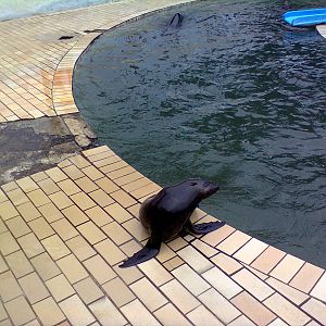 East London Aquarium