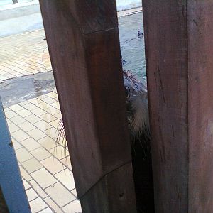 East London Aquarium