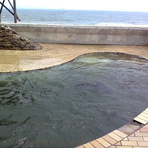 East London Aquarium