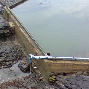 East London Aquarium