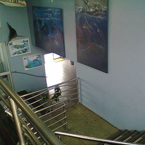 East London Aquarium