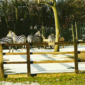 Confined to the hardstanding 5th December 1998