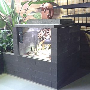 lizard enclosure