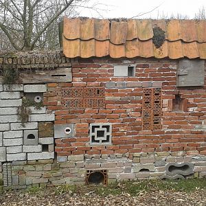 nature-friendly wall