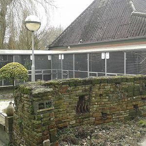 aviaries for smaller birds