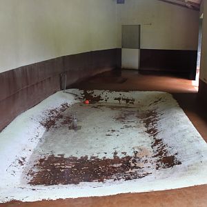 Aalborg Zoo - Flamingo House