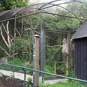 Aalborg Zoo - Curassow aviary