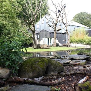 Aalborg Zoo - Spider monkey/nutria exhibit