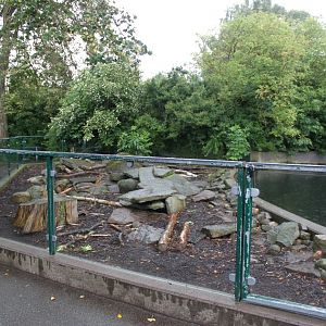Aalborg Zoo - Nutria exhibit