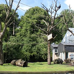 Aalborg Zoo - Spider monkey/nutria island