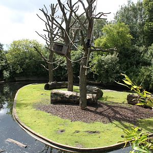 Aalborg Zoo - Spider monkey/nutria exhibit