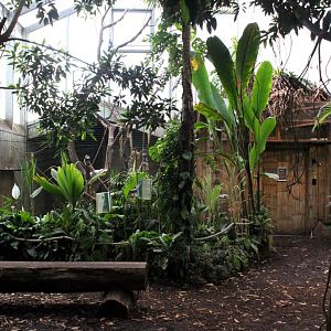 Aalborg Zoo - Payamino House