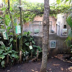 Aalborg Zoo - Payamino House