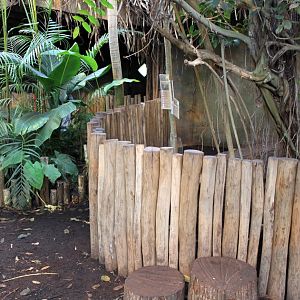 Aalborg Zoo - Payamino House