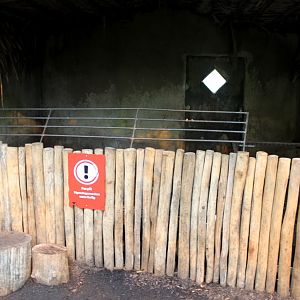 Aalborg Zoo - Payamino House (Anteater)