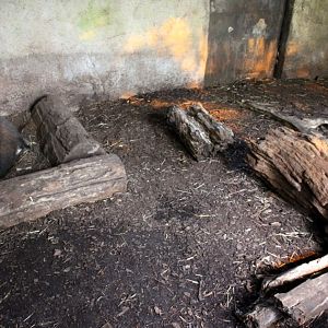 Aalborg Zoo - Payamino House (Anteater)