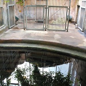 Aalborg Zoo - Payamino House (Tapir)
