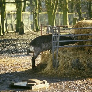 Mr Smith 16th January 1999