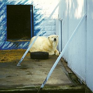 Mandy 16th January 1999