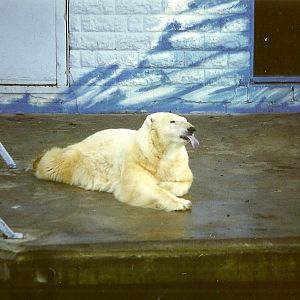 Mandy 16th January 1999