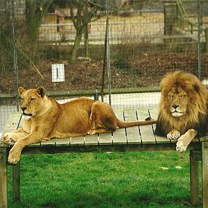 Rhoda and Carlon 6th February 1999