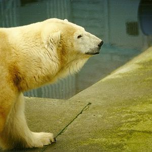 Mandy 6th February 1999