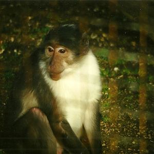 Joe 20th February 1999