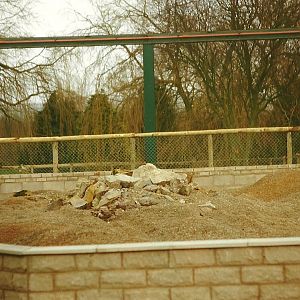 Meerkat exhibit under construction 20th February 1999