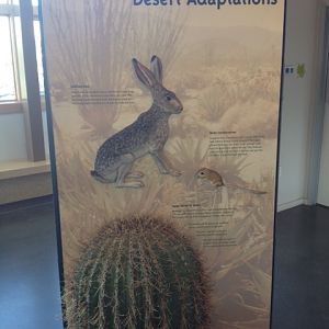 Desert Adaptations Sign