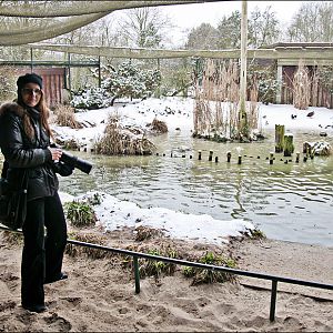 Sea bird aviary at Münster